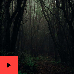Dreaded Darkness
